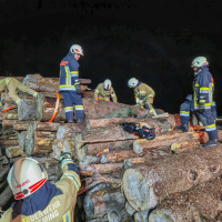 2024-11-14_Technik-Holzunfall_02