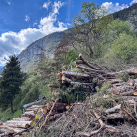 2026-04-18_Abschnittsuebung-2026_25
