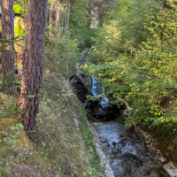 2026-05-09_Fahrzeugabsturz_04