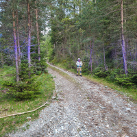 2026-06-11_Uebung-Forstunfall_01