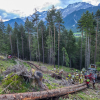2026-06-11_Uebung-Forstunfall_28