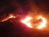 brandbarwies_14-03-3