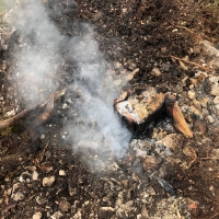 kleinerbrand03-04-19-2