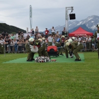 Landesbewerb2018 (5)