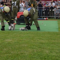 Landesbewerb2018 (7)