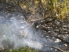 waldbrand-29-jpg