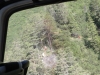 waldbrand-5-jpg