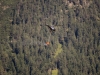 waldbrand-60-jpg