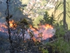 waldbrand_fiecht-26-05-5