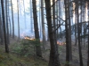 waldbrand_fiecht-26-05