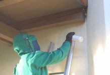 Wespennest-Einsatz in Fiecht