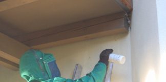 Wespennest-Einsatz in Fiecht