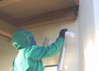 Wespennest-Einsatz in Fiecht