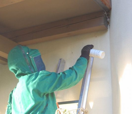 Wespennest-Einsatz in Fiecht