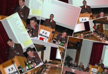 137. Jahreshauptversammlung 2014 – 146 Einsätze im Vorjahr 137. Jahreshauptversammlung 2014 - 146 Einsätze im Vorjahr, Infografik: Freiwillige Feuerwehr Mieming