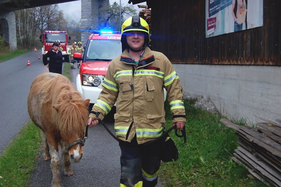 Tierrettung in Obermieming – Absturz eines Ponys, Foto: Freiwillige Feuerwehr Mieming