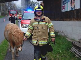 Feuerwehr Mieming im Wandel der Zeiten – Geschichte liest sich “wie ein Roman” Tierrettung in Obermieming – Absturz eines Ponys, Foto: Freiwillige Feuerwehr Mieming