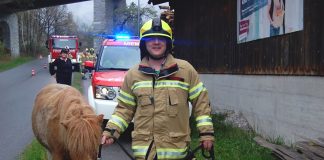 Feuerwehr Mieming im Wandel der Zeiten – Geschichte liest sich “wie ein Roman” Tierrettung in Obermieming – Absturz eines Ponys, Foto: Freiwillige Feuerwehr Mieming