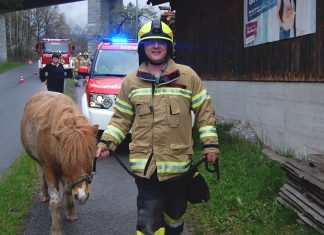 Feuerwehr Mieming im Wandel der Zeiten – Geschichte liest sich “wie ein Roman” Tierrettung in Obermieming – Absturz eines Ponys, Foto: Freiwillige Feuerwehr Mieming