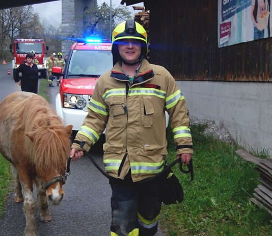 Tierrettung in Obermieming – Absturz eines Ponys Tierrettung in Obermieming – Absturz eines Ponys, Foto: Freiwillige Feuerwehr Mieming