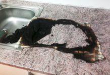 Brandmeldealarm im Sozialzentrum Mieming – Geschirrtuch sorgte für Rauchentwicklung Brandmeldealarm im Sozialzentrum Mieming - Geschirrtuch sorgte für Rauchentwicklung, Foto: FF Mieming