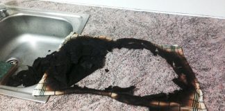 Brandmeldealarm im Sozialzentrum Mieming – Geschirrtuch sorgte für Rauchentwicklung Brandmeldealarm im Sozialzentrum Mieming - Geschirrtuch sorgte für Rauchentwicklung, Foto: FF Mieming