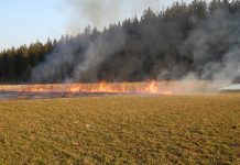 Gerhardhof Wildermieming – Brand im Freien Kleiner Brand im Freien in WIldermieming
