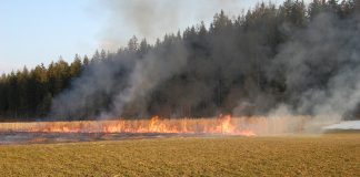 Gerhardhof Wildermieming – Brand im Freien Kleiner Brand im Freien in WIldermieming