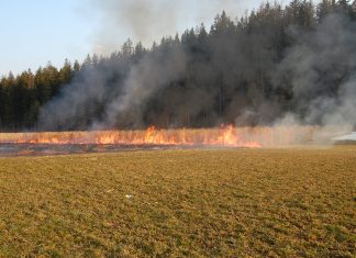 Gerhardhof Wildermieming – Brand im Freien Kleiner Brand im Freien in WIldermieming