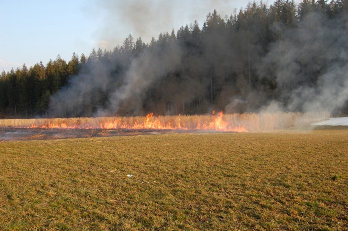 Kleiner Brand im Freien in WIldermieming