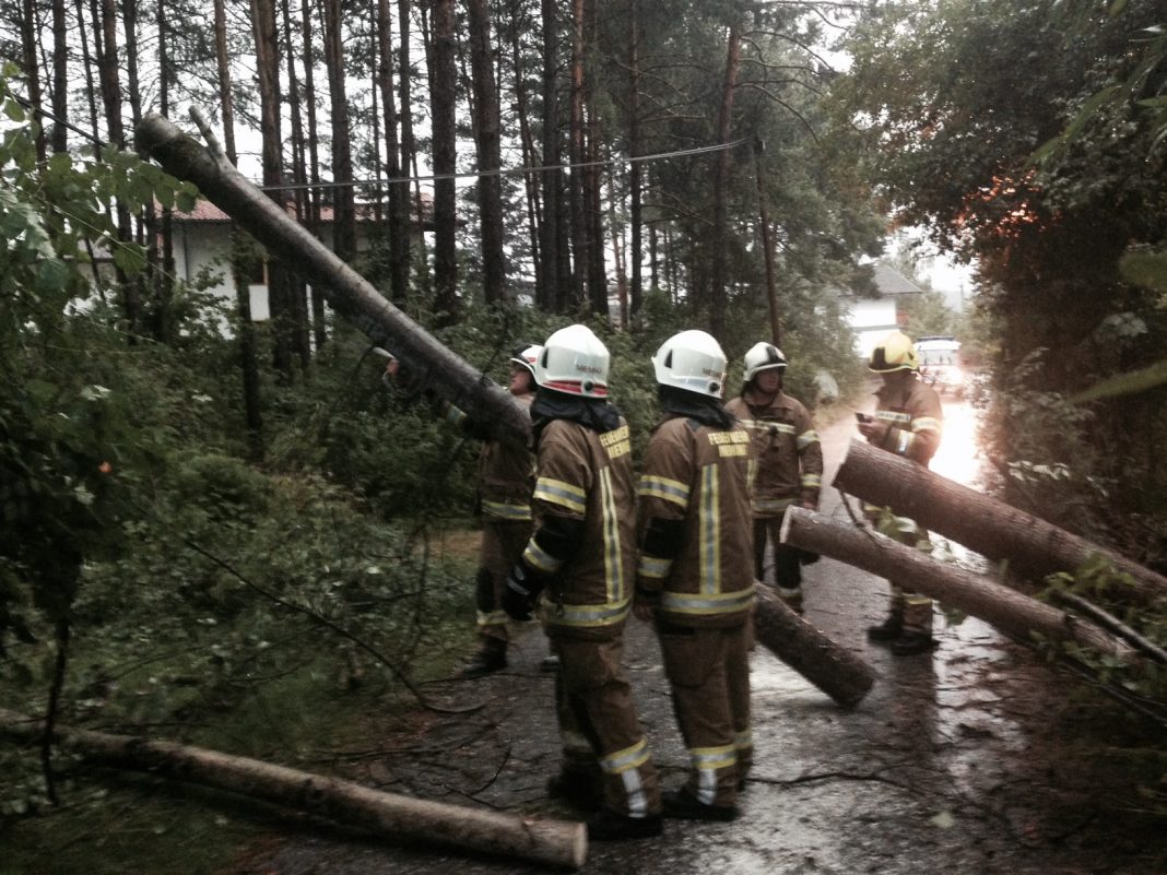 Mehrere Bäume auf Straßen im Gemeindegebiet Mieming, Foto: Freiwillige Feuerwehr Mieming