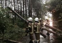 Mehrere Bäume auf Straßen im Gemeindegebiet Mieming Mehrere Bäume auf Straßen im Gemeindegebiet Mieming, Foto: Freiwillige Feuerwehr Mieming