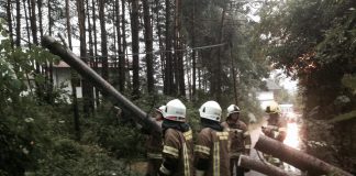 Mehrere Bäume auf Straßen im Gemeindegebiet Mieming Mehrere Bäume auf Straßen im Gemeindegebiet Mieming, Foto: Freiwillige Feuerwehr Mieming