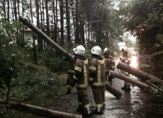 Mehrere Bäume auf Straßen im Gemeindegebiet Mieming Mehrere Bäume auf Straßen im Gemeindegebiet Mieming, Foto: Freiwillige Feuerwehr Mieming