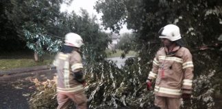 Erneut Bäume auf der Straße im Gemeindegebiet von Mieming
