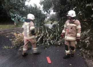 Erneut Bäume auf der Straße im Gemeindegebiet von Mieming