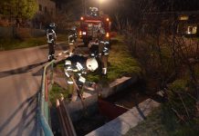 Frühjahrsübung 2016 „Wirtschafsgebäudebrand in Barwies“