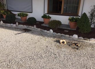 Aus Brandmeldealarm wurde Ernstfall