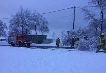Umgestürzte Bäume im Gemeindegebiet Mieming