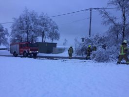 Umgestürzte Bäume im Gemeindegebiet Mieming