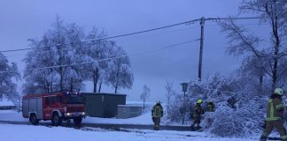 Umgestürzte Bäume im Gemeindegebiet Mieming