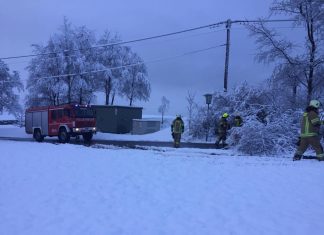 Umgestürzte Bäume im Gemeindegebiet Mieming