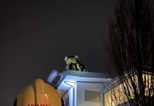 Wasserschaden – vereiste Dachrinne