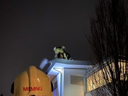 Wasserschaden – vereiste Dachrinne