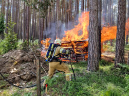 Brand von gelagertem Brennholz
