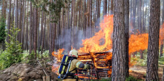 Brand von gelagertem Brennholz