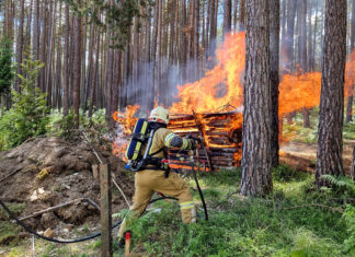 Brand von gelagertem Brennholz