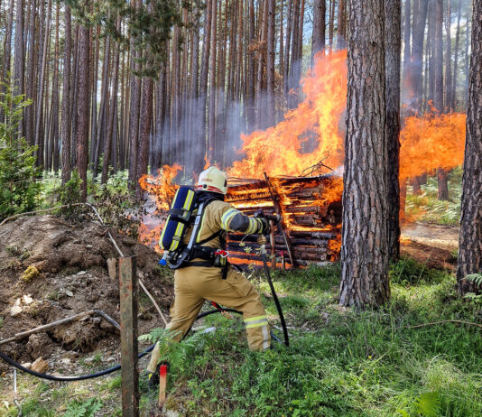 Brand von gelagertem Brennholz