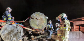 Technische Übung zum Thema Holzunfall