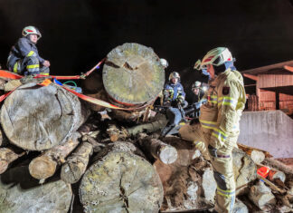 Technische Übung zum Thema Holzunfall